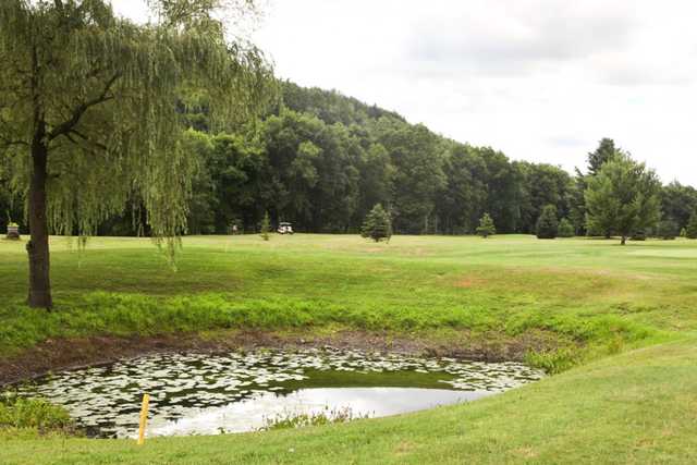 Course Image