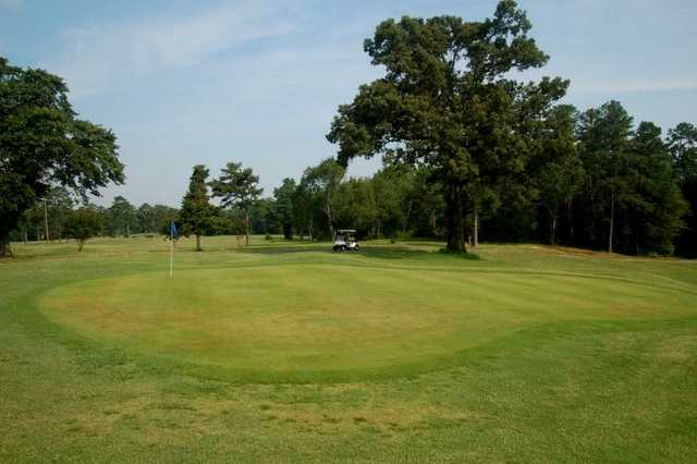 A view of the 8th green at Castle Pines Country Club