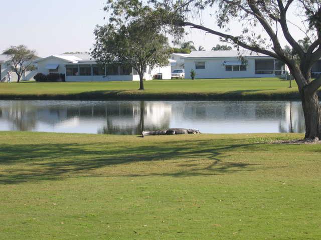 Leisureville Community Golf Course