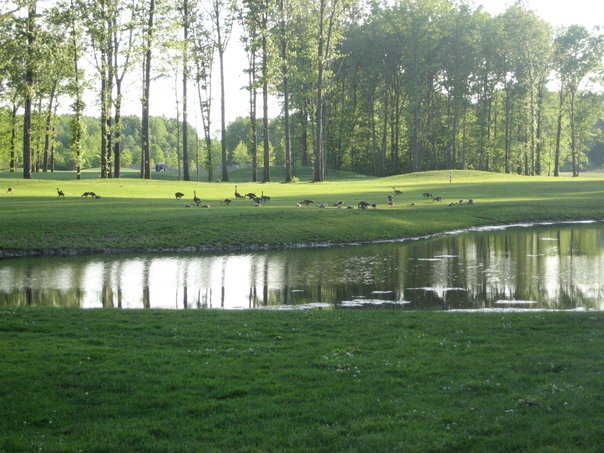 Sweetbriar Golf Club - Legacy 18