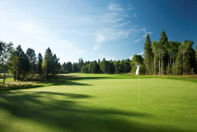 Course Image