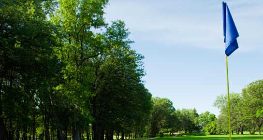 Course Image