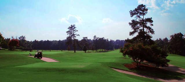 Course Image