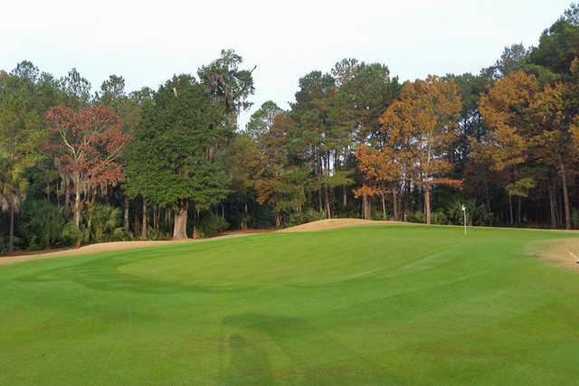 Course Image