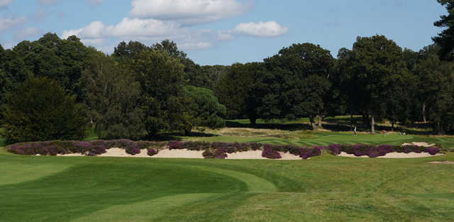 Course Image