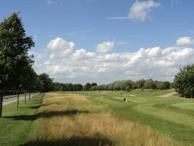 View from the 15th tee box at Clandon Regis Golf Club.
