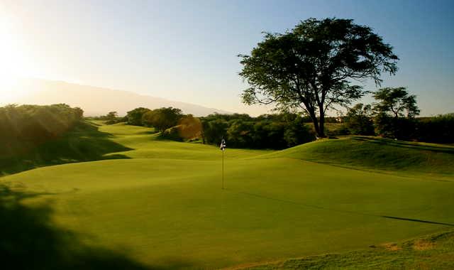 Course Image