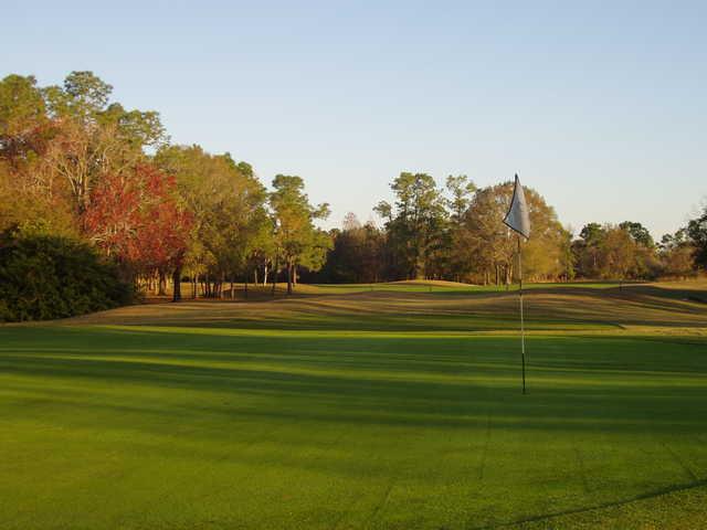 The Eagles Golf Club - Forest