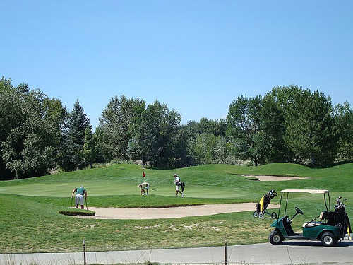 Course Image