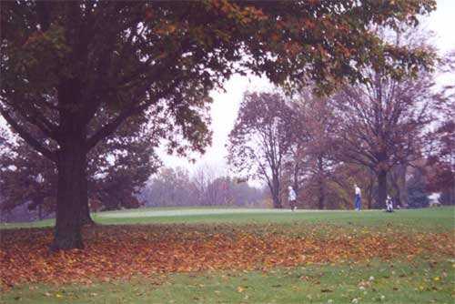 A view of the 1st green at Shoaff Park Golf Course