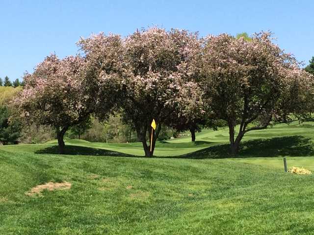 Pine Brook Country Club