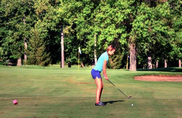 A view of a hole at Foster Park Golf Course