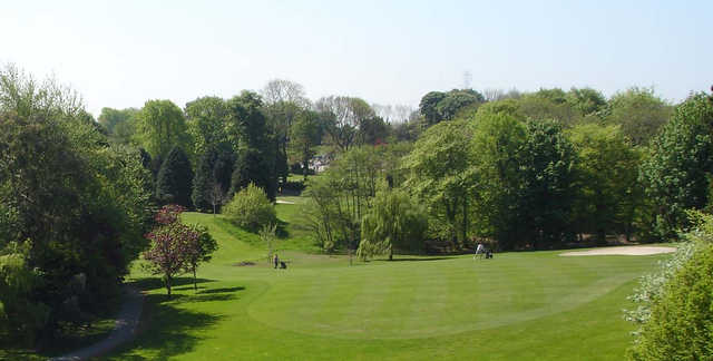 A sunny day view from Monkstown Golf Club