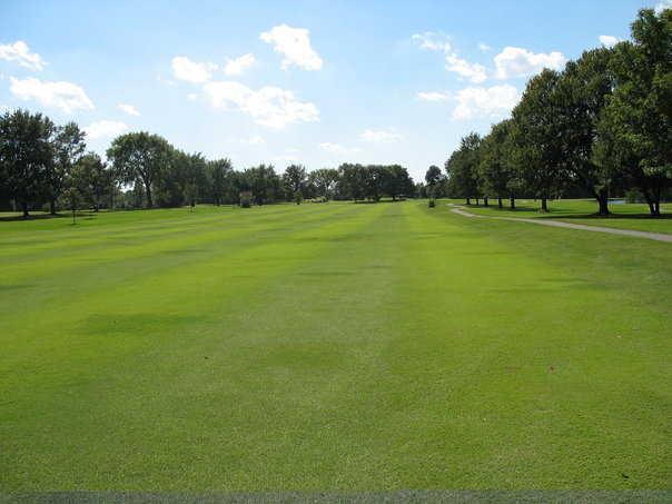 Course Image