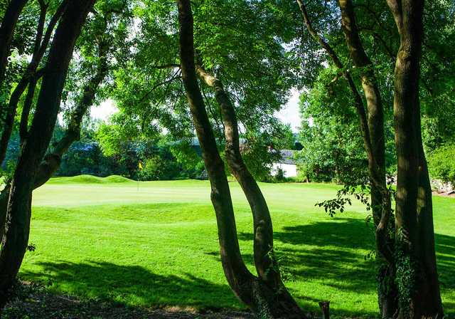A sunny day view of a green at Cork Golf Club