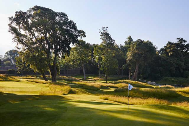 A view from The Copse at Goodwood Golf Club.