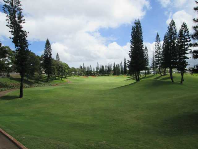 Course Image