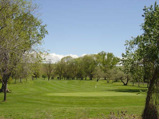 Course Image