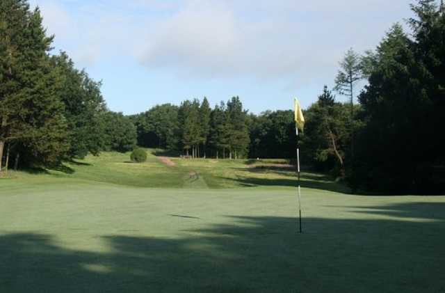 A view of the fairway from the greens