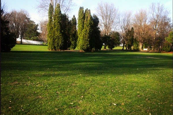 Four Willows Golf Course