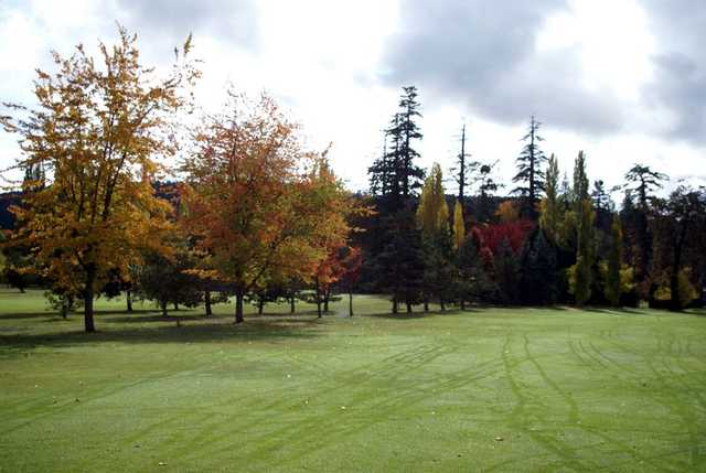 Course Image