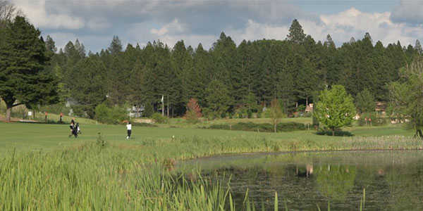 Course Image