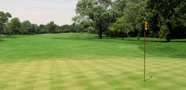 Course Image