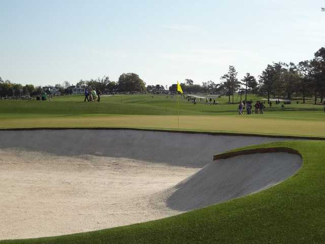 Course Image