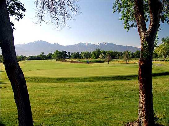 A view of hole #16 at Meadowbrook Golf Course