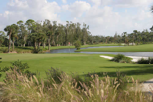 Course Image
