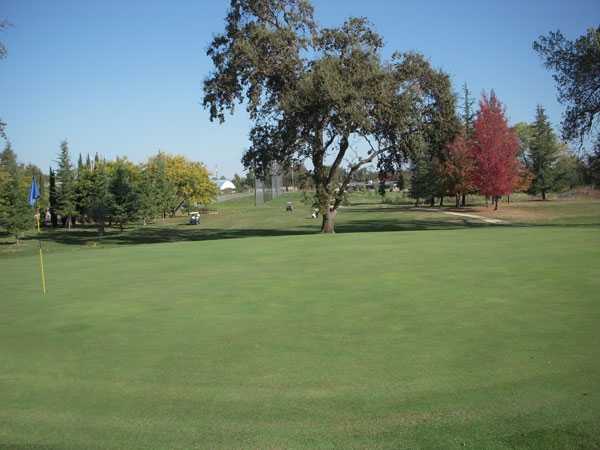 Course Image