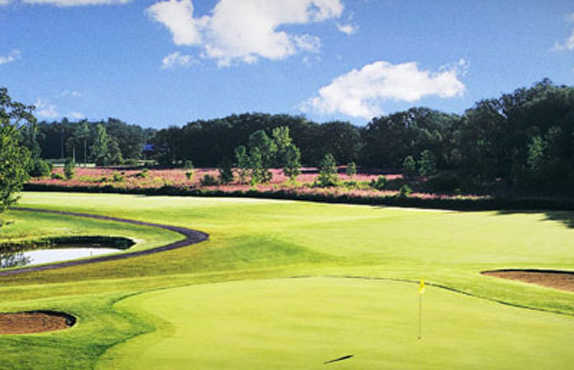Course Image