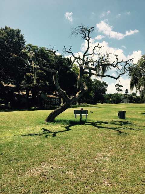 Bird Bay Executive Golf Club