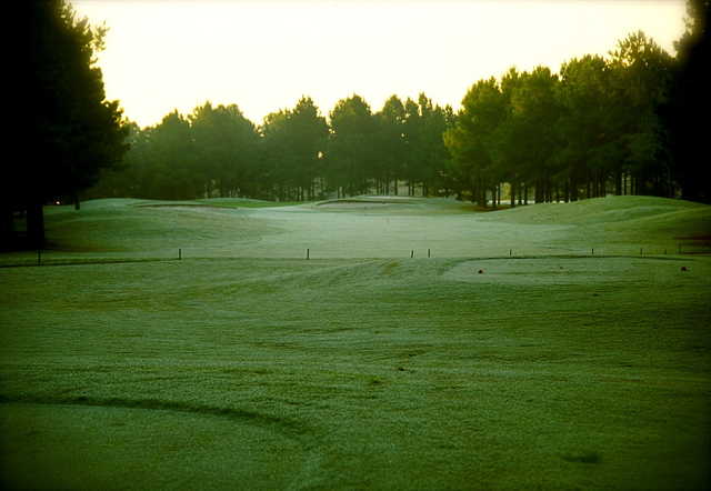 Players Course At Wyboo Plantation