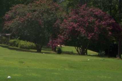 A view from Coosa Pines Golf Club