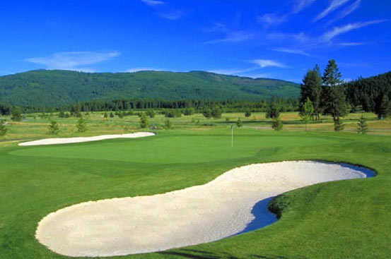 Course Image