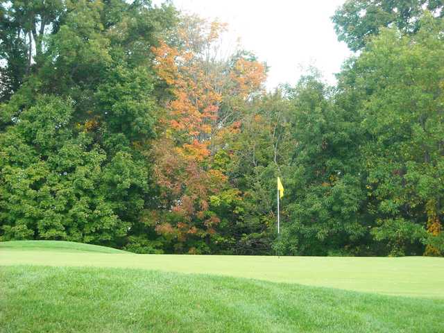 Lyman Orchards – Player