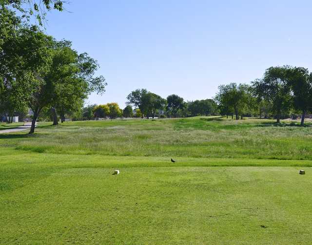 Desert Hawk At Pueblo West