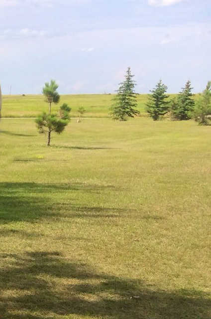 Bowbells Country Club