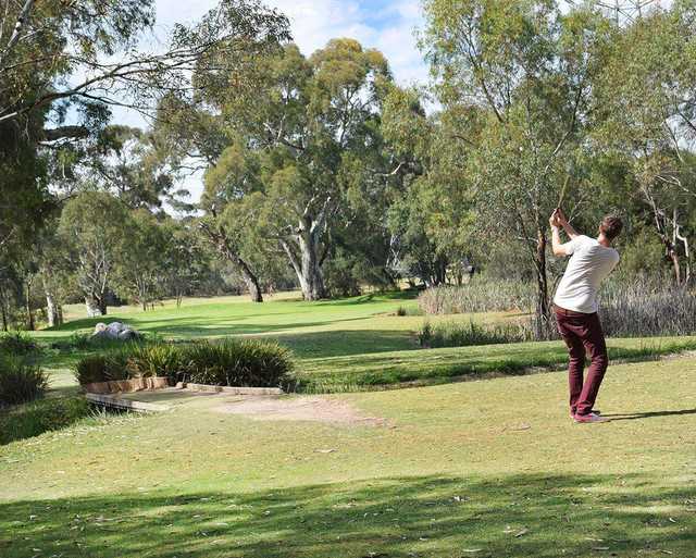 Golfer on Little Para Par 3 Golf Course