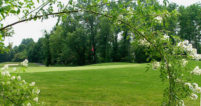 Course Image