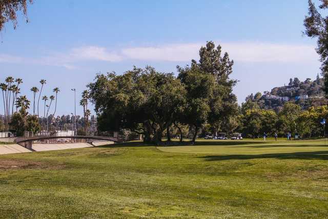 Brookside Golf Club - Koiner