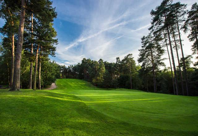 A sunny day view of a green at Pine Ridge Golf Centre.