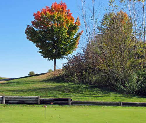 View of the puttin green at Bluff Creek Golf Course.