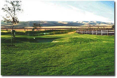 Course Image