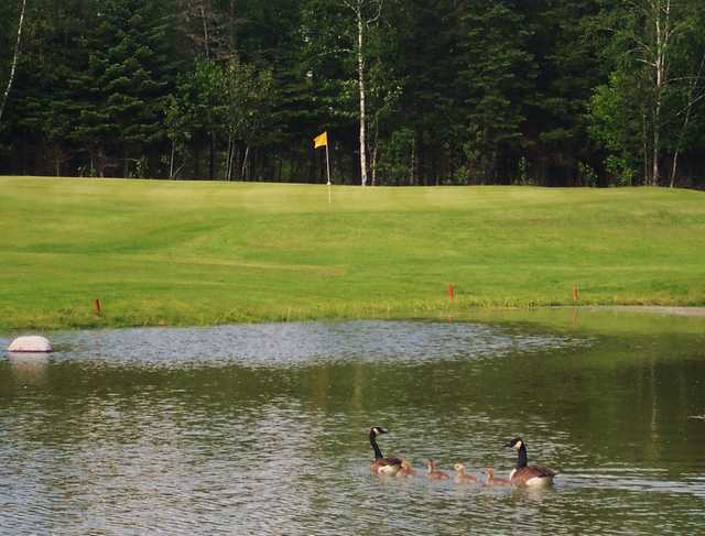 Limestone Country Club