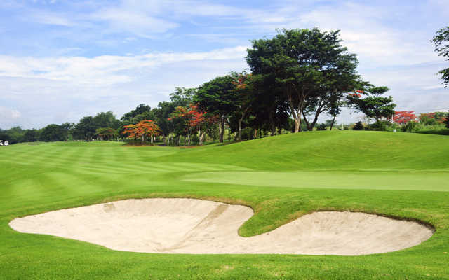 Course Image