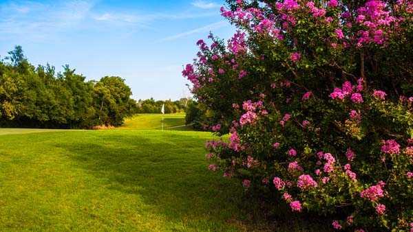 A view of a hole at Earlywine Golf Course
