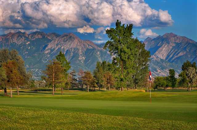 A sunny day view of a green at Glendale Golf Course.