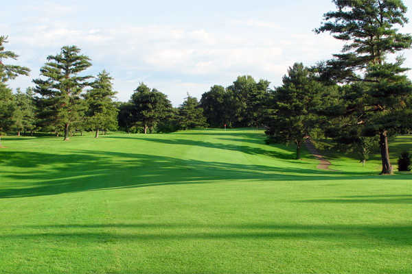 Course Image